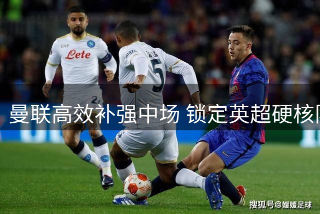 曼联高效补强中场 锁定英超硬核队长亚当斯