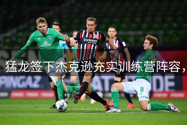 猛龙签下杰克逊充实训练营阵容，侧翼悍将冲击最后席位