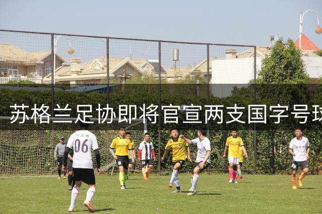 苏格兰足协即将官宣两支国字号球队新主帅