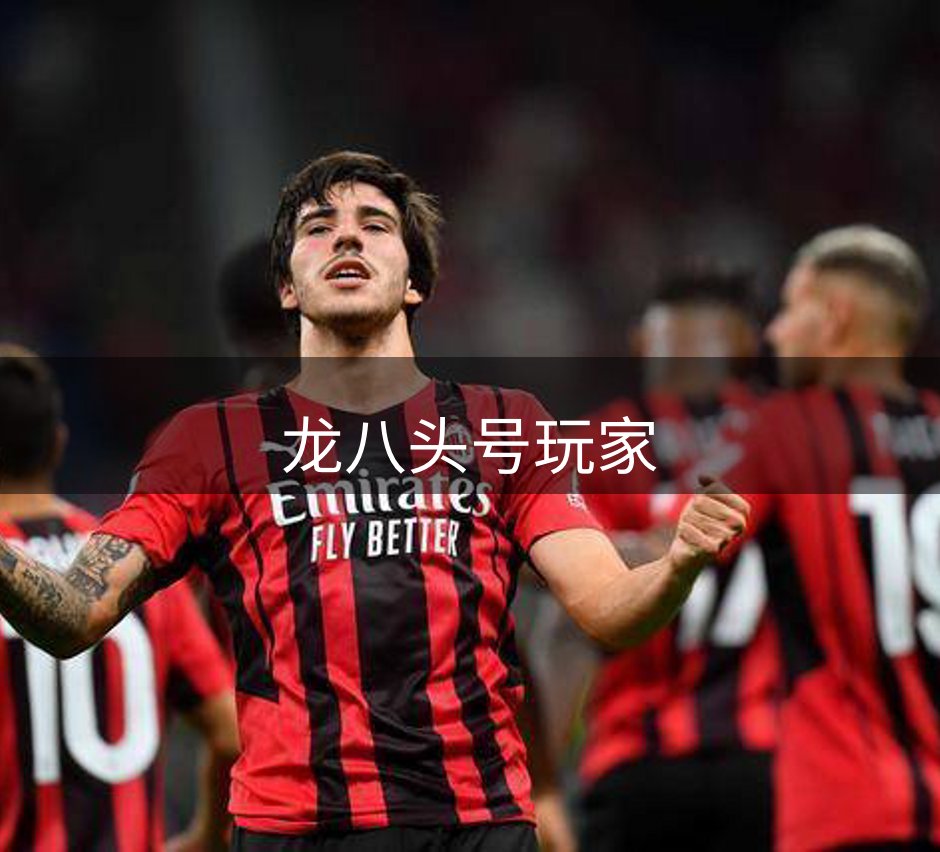 关于龙八头号玩家